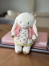 Load image into Gallery viewer, Goat in dress and cardigan
