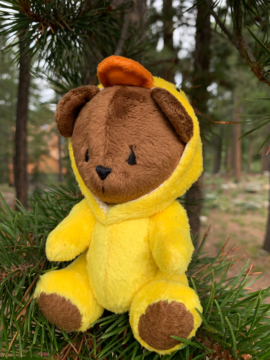 Teddy bear in duck costume
