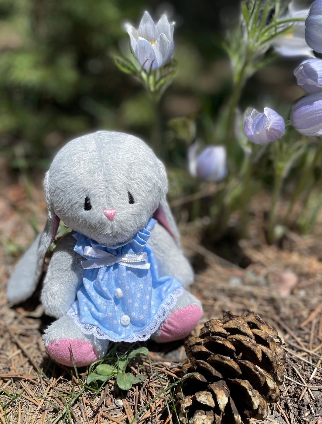 Bunny in polkadot dress
