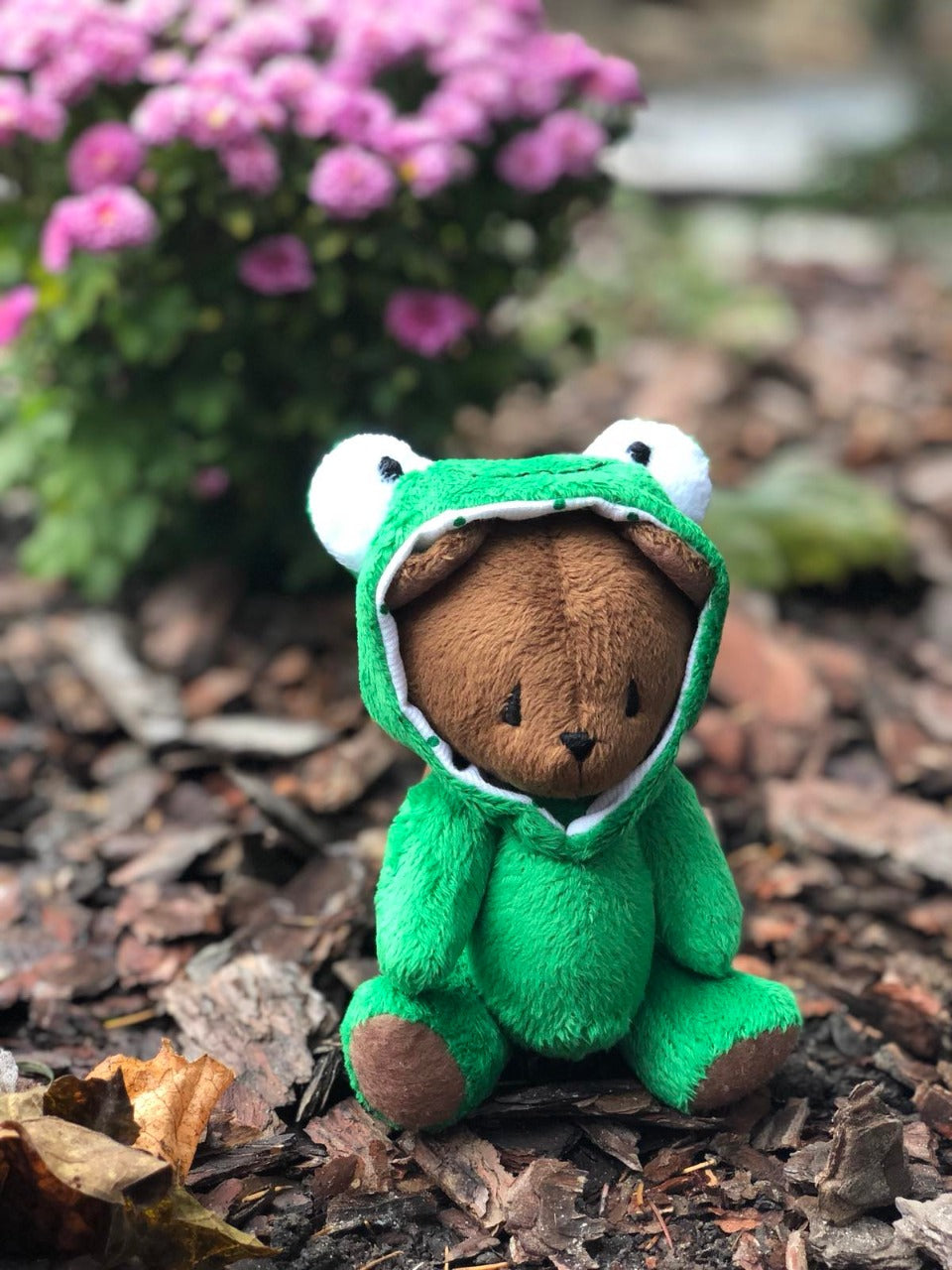 Teddy bear in frog costume